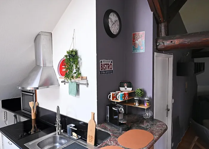 Ecrin Calme à - A Deux Pas De La Place Stanislas 2ch * Nancy